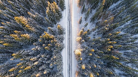 Ansicht eines Winterwaldes aus der Vogelperspektive, durch die Mitte verläuft eine zweispurige Straße.