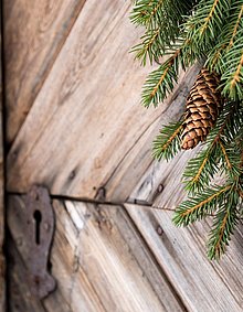 Ausschnitt einer Holztür, schlicht geschmückt mit Tannenzweigen und zwei Tannenzapfen. Man erkennt ein alt wirkendes Schloss.